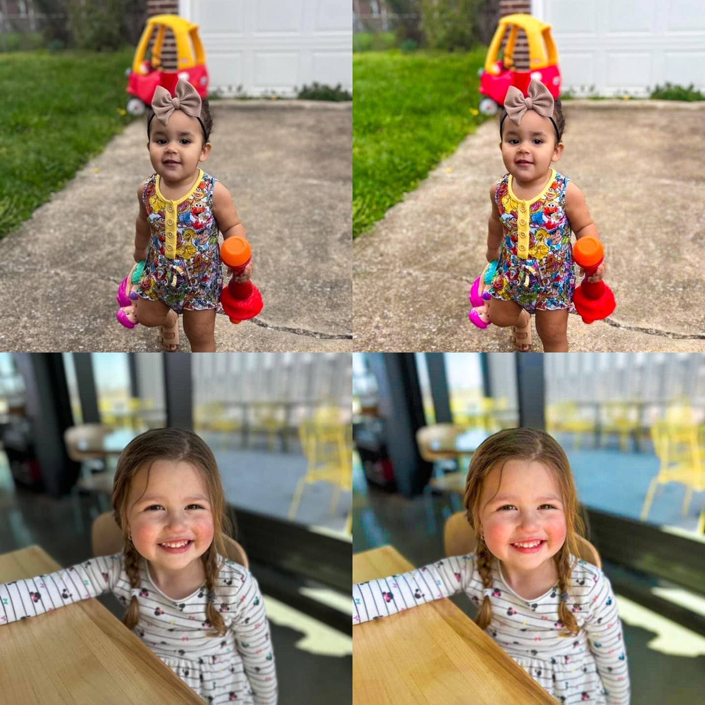 Bright Blooms 2-Pack