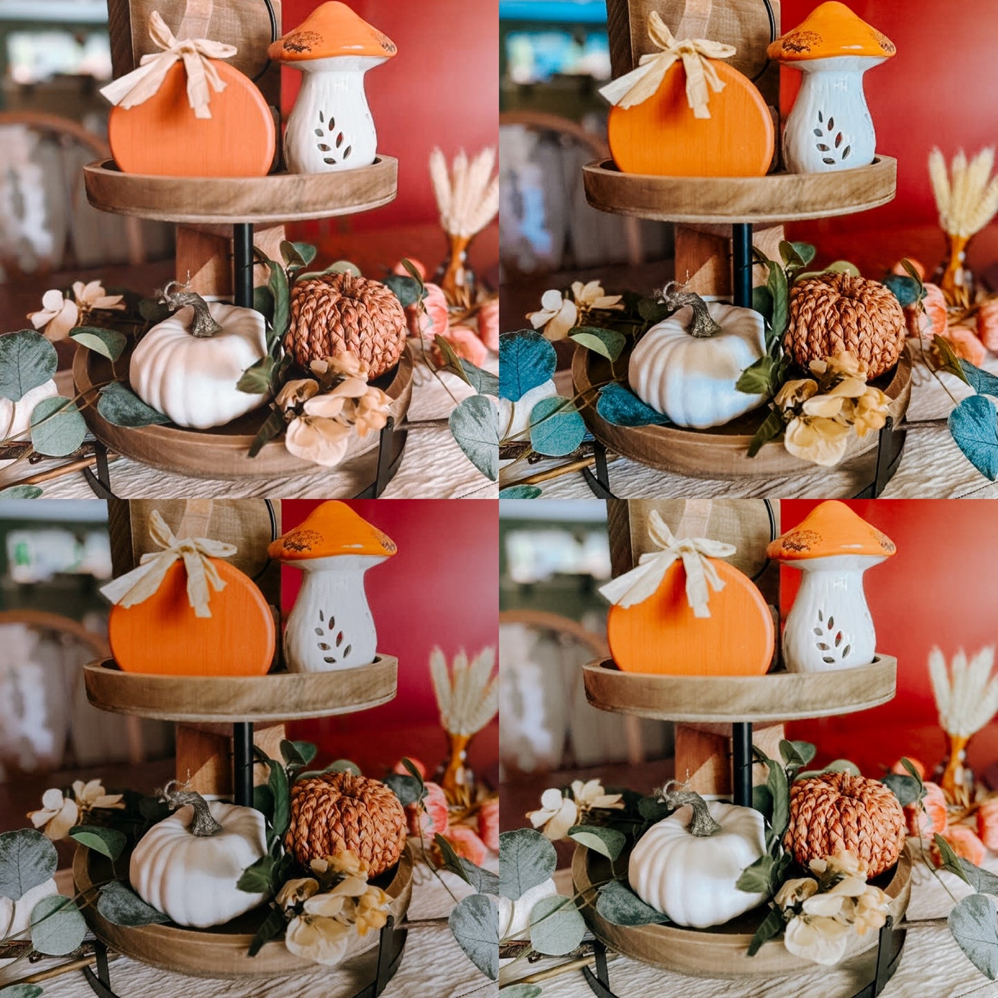 Pumpkin Patch 4-Pack