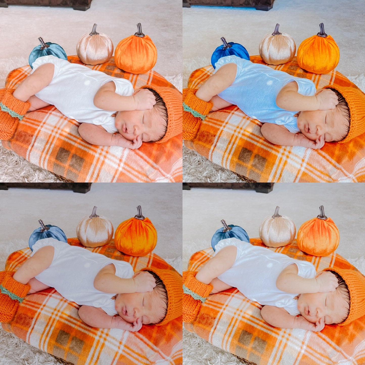 Pumpkin Patch 4-Pack