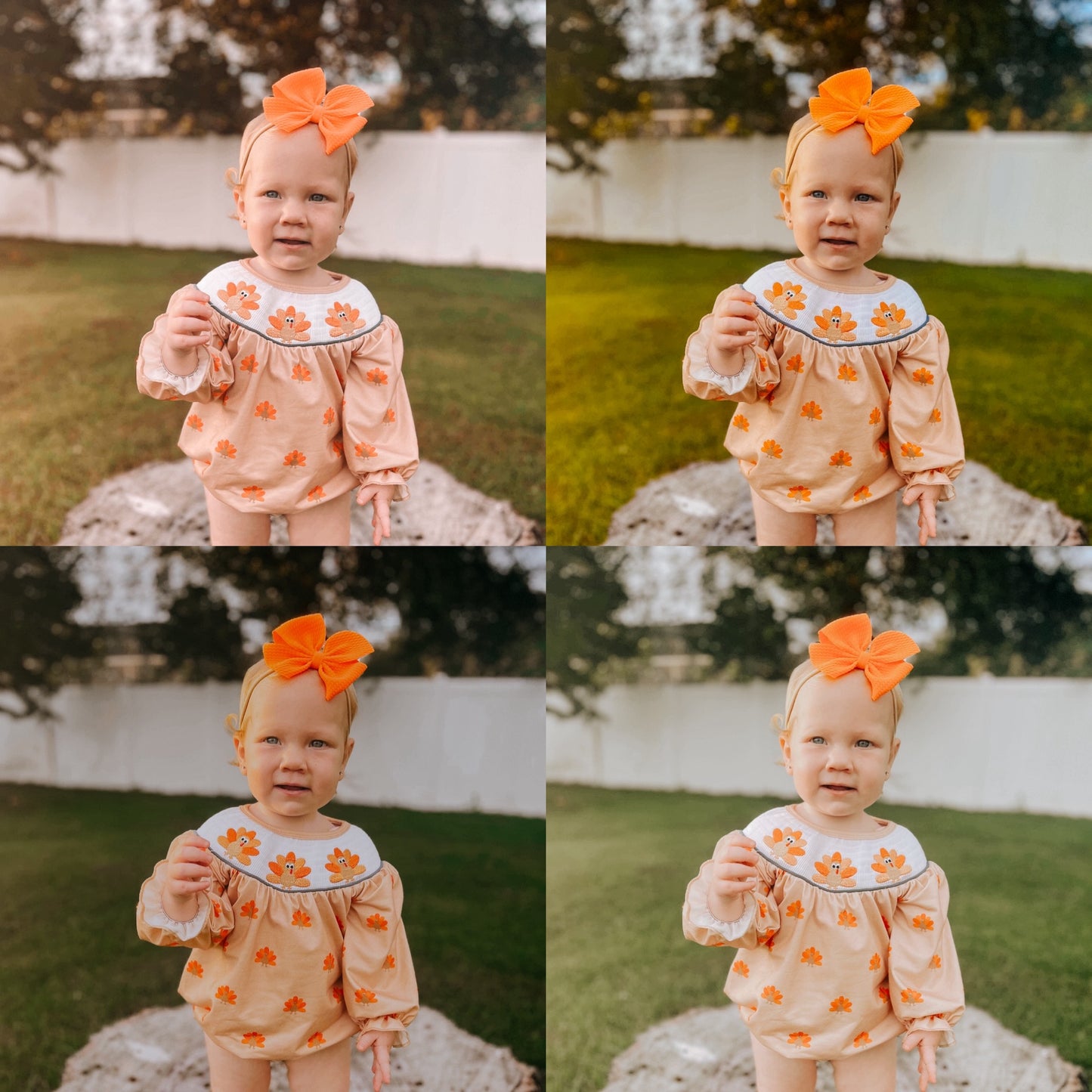 Pumpkin Patch 4-Pack
