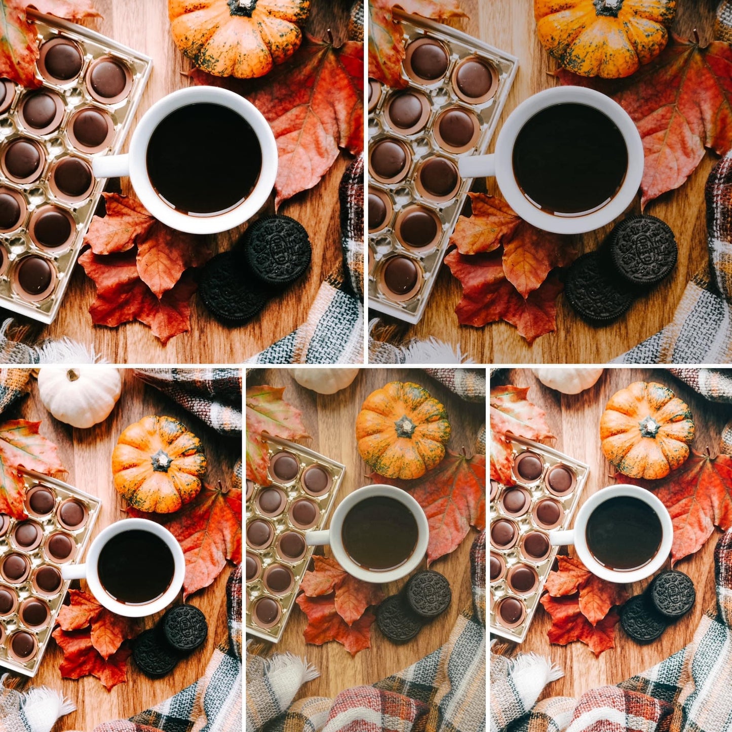 Pumpkin Spice 5-Pack