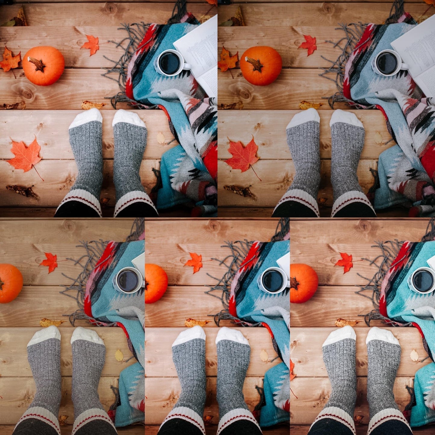 Pumpkin Spice 5-Pack