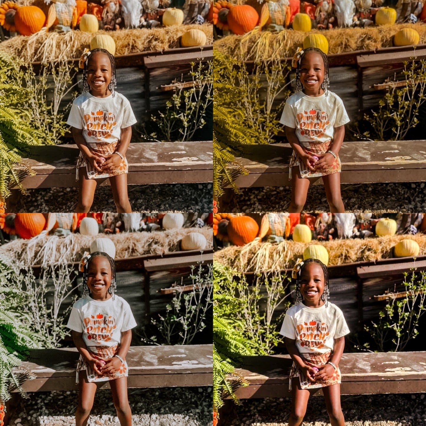 Fall Festival 4 Pack