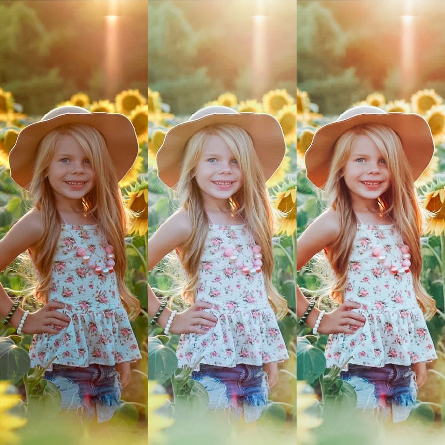 Spring Fling 3-Pack