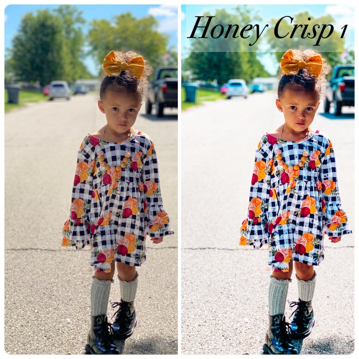 Honey Crisp 2 Pack