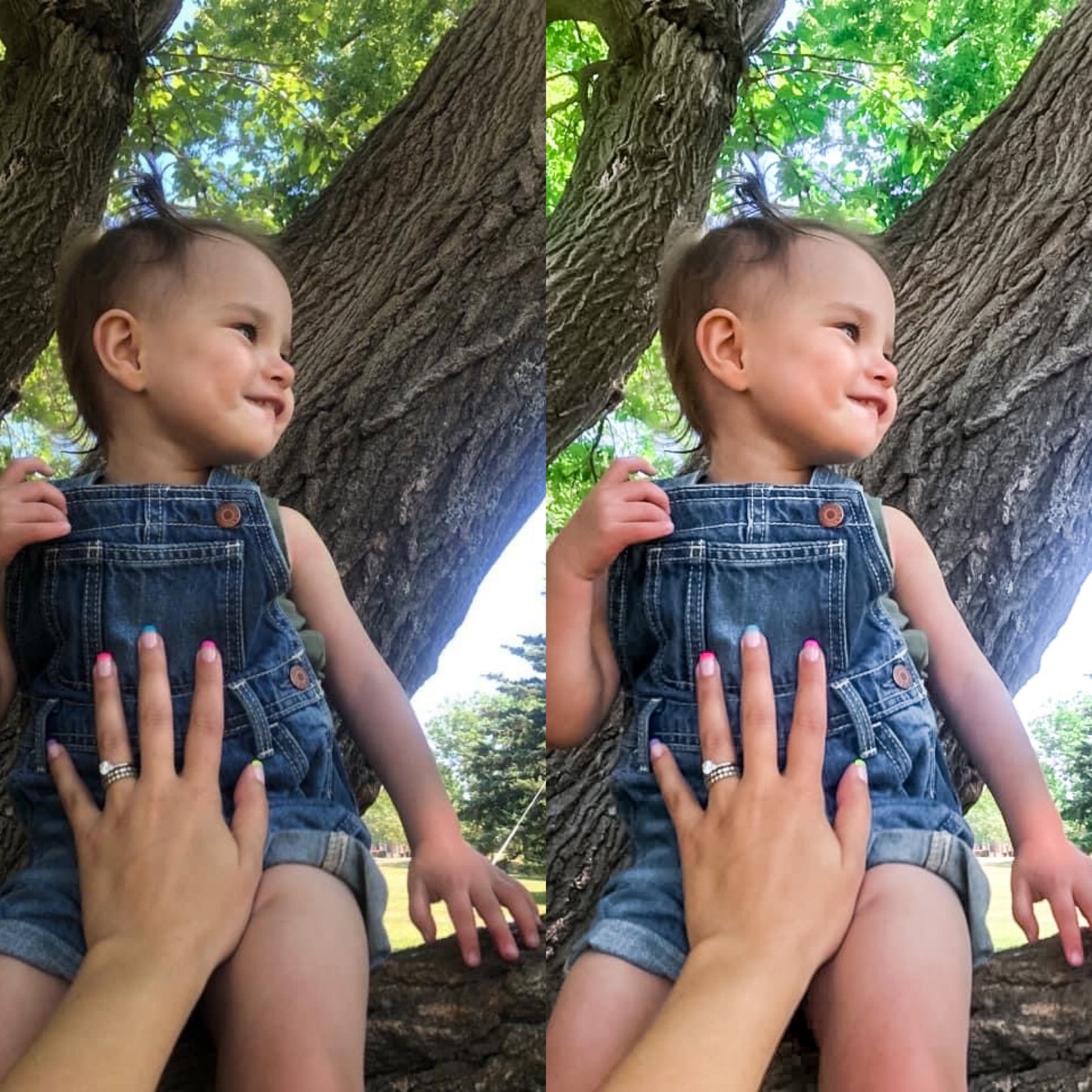 Bella Preset