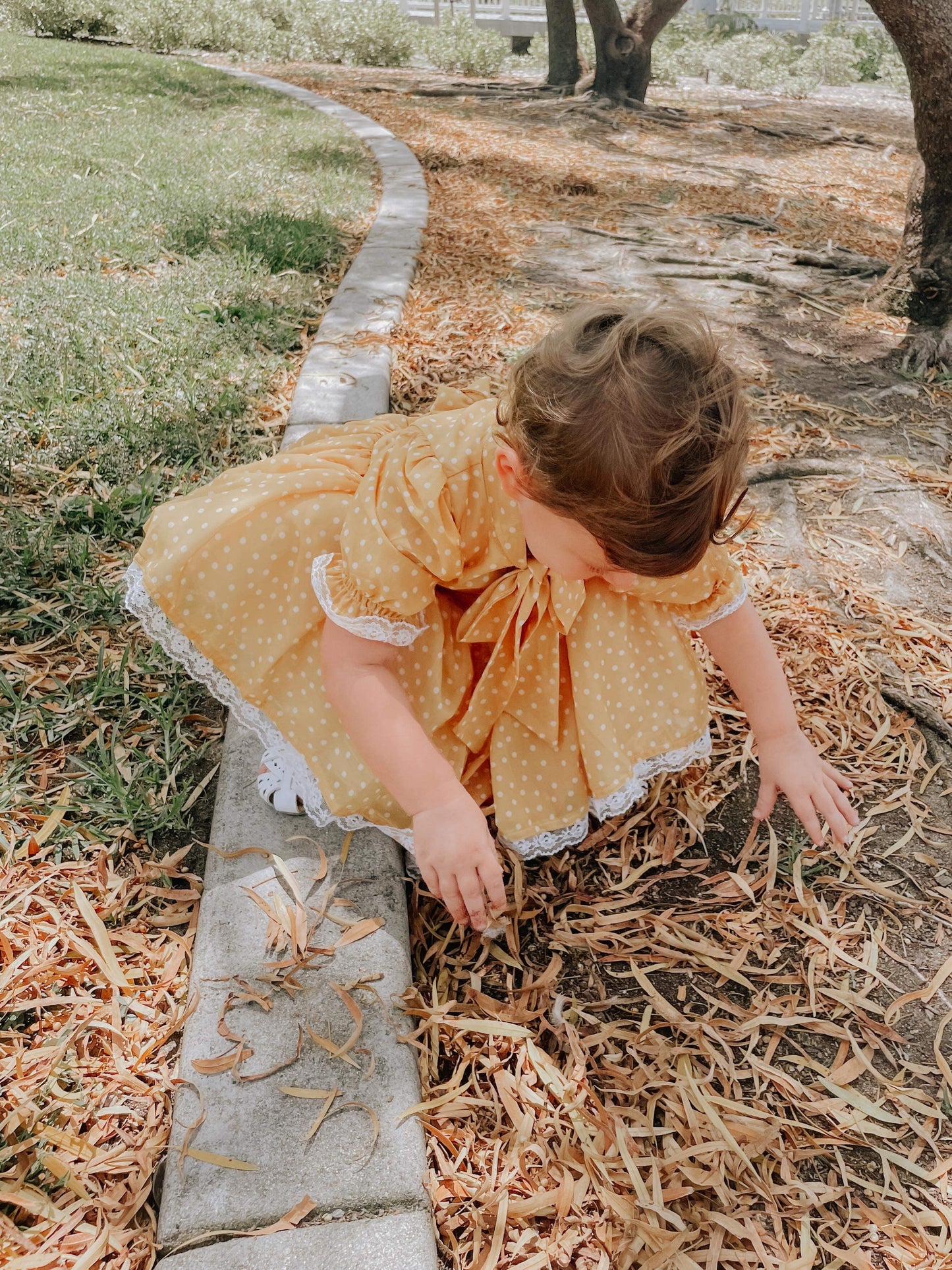 Fallin’ Into Autumn Preset Bundle