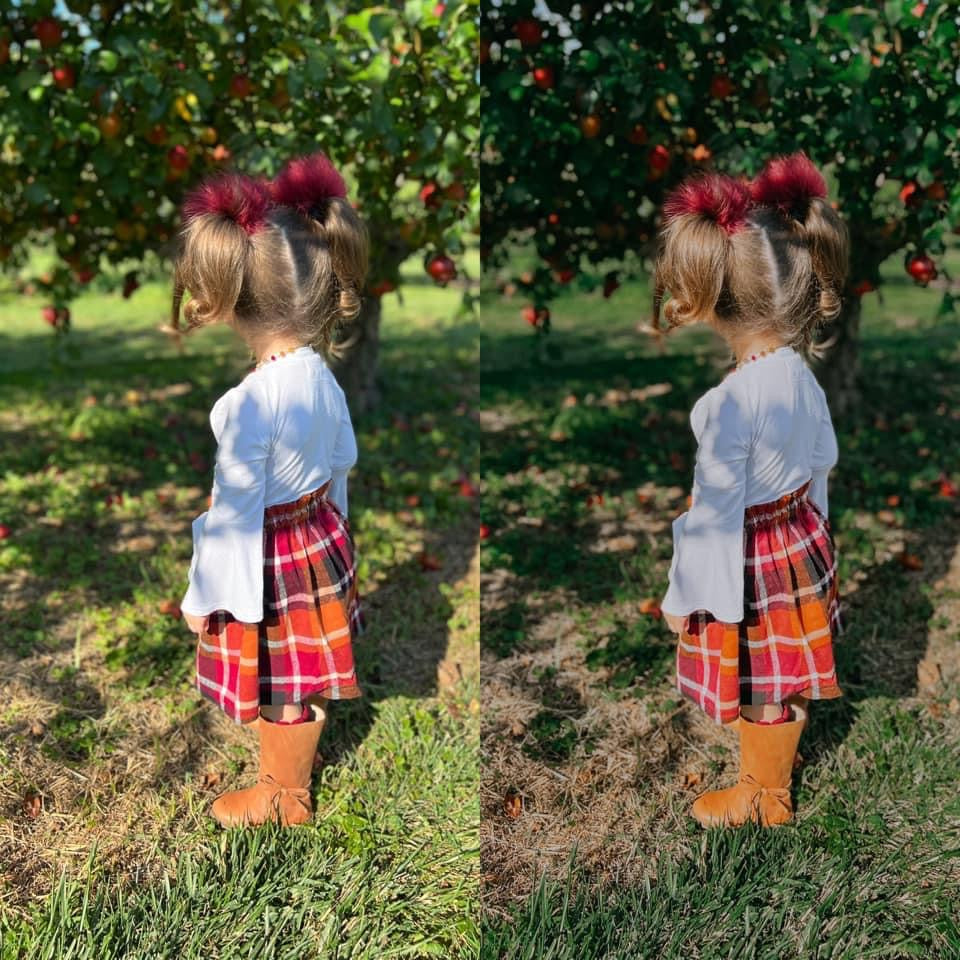 Color Me Autumn 3-Pack