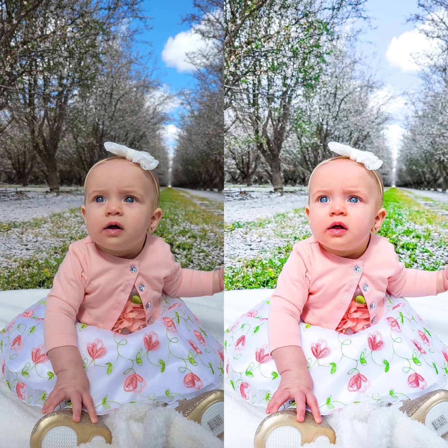 Amelia Preset