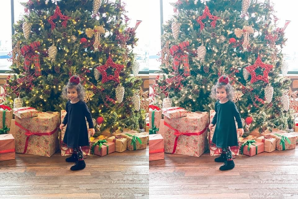 2022 Christmas Bundle of 6