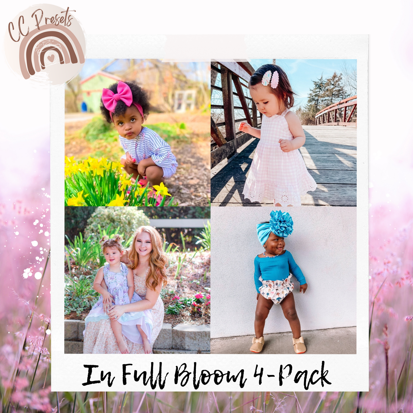 In Full Bloom 4- Pack