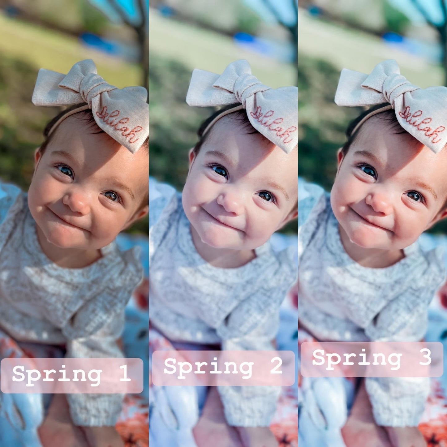 Spring Fling 3-Pack