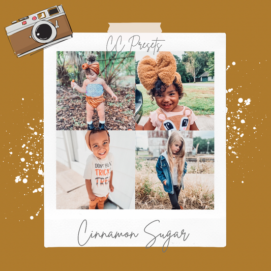 Cinnamon Sugar Preset