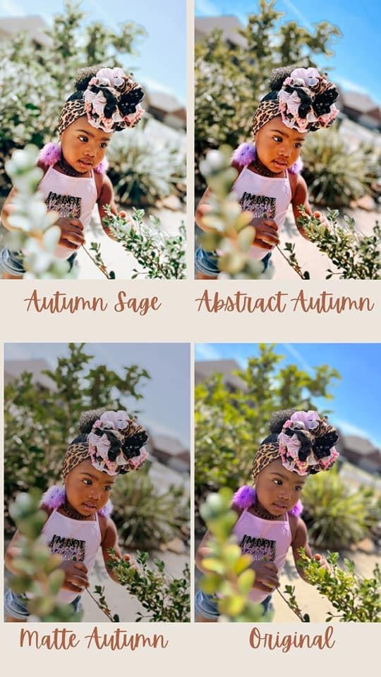 Color Me Autumn 3-Pack