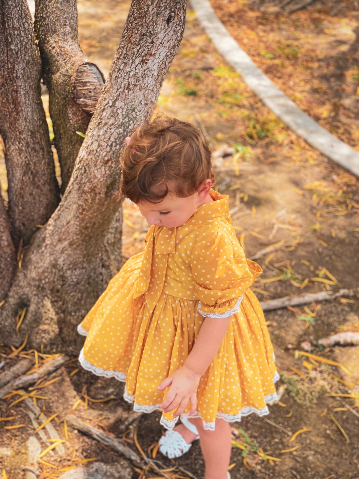Fallin’ Into Autumn Preset Bundle