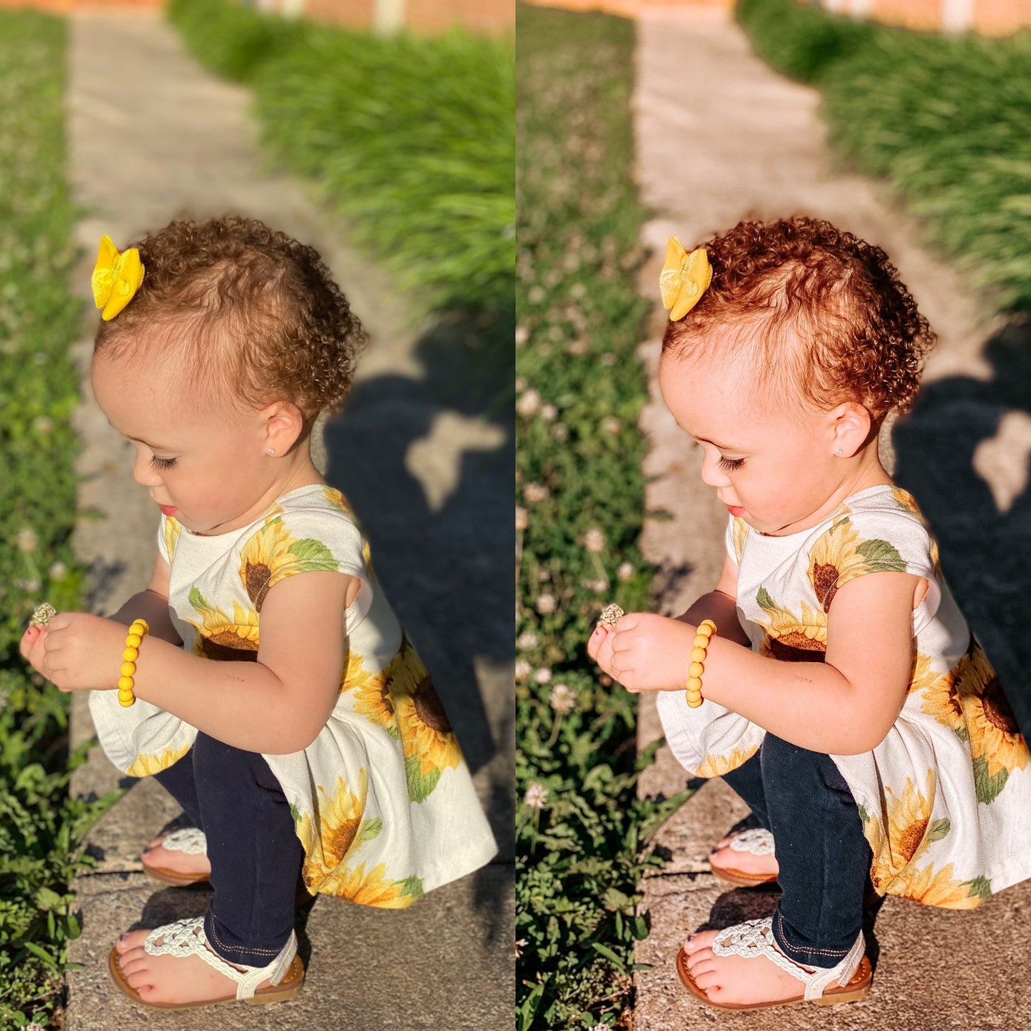 Fallin’ Into Autumn Preset Bundle