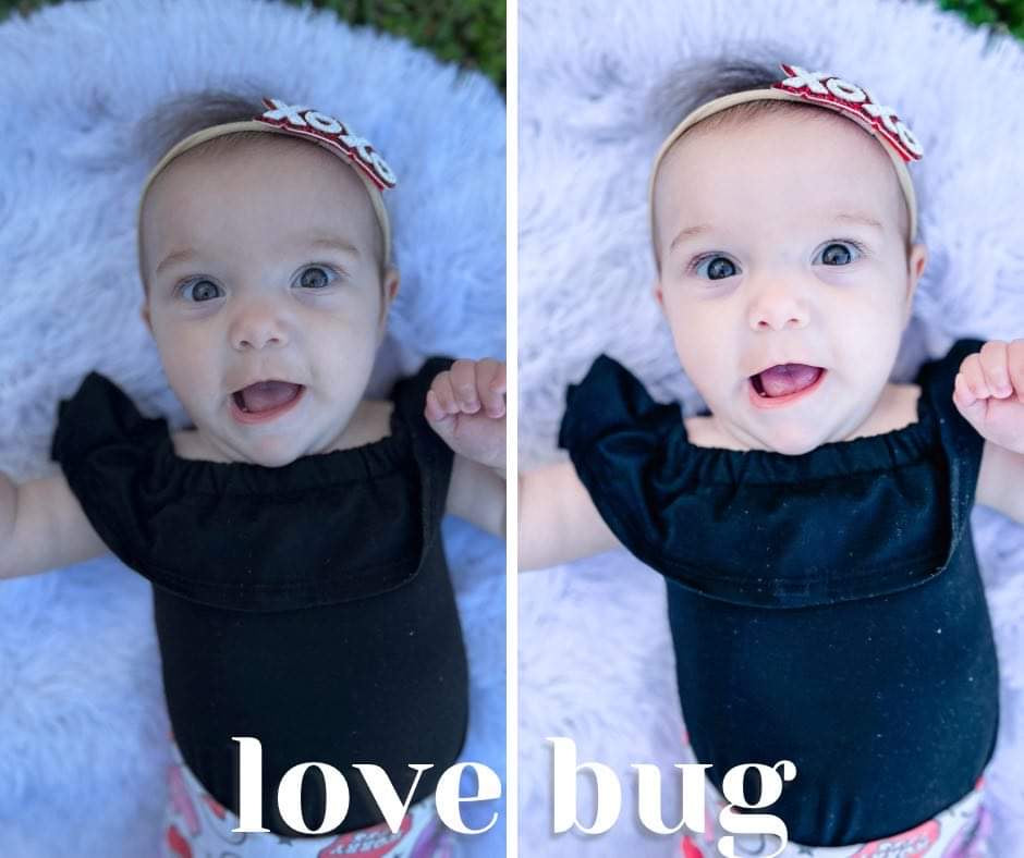 Love Bug