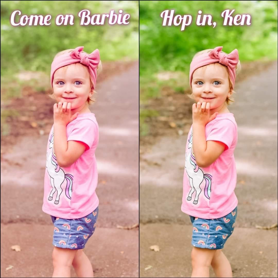 Barbie Preset 2 Pack